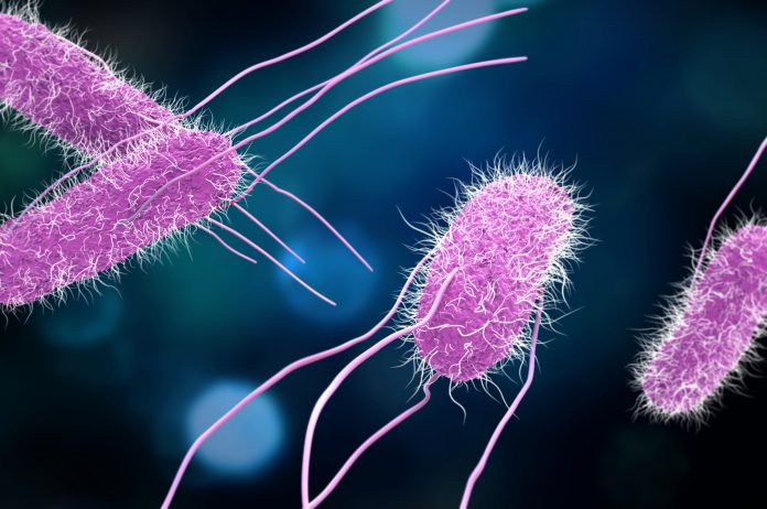  International outbreak of salmonellosis in young children linked to the consumption of Kinder brand products.  Update on May 4, 2022.
