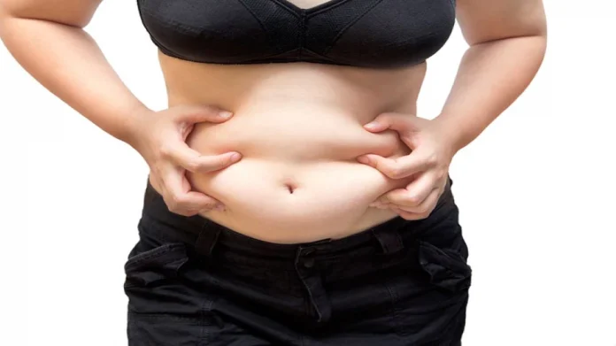 Belly Fat कमी न होण्यामागे 'या' 4 गोष्टी कारणीभूत; आजच करा उपाय!