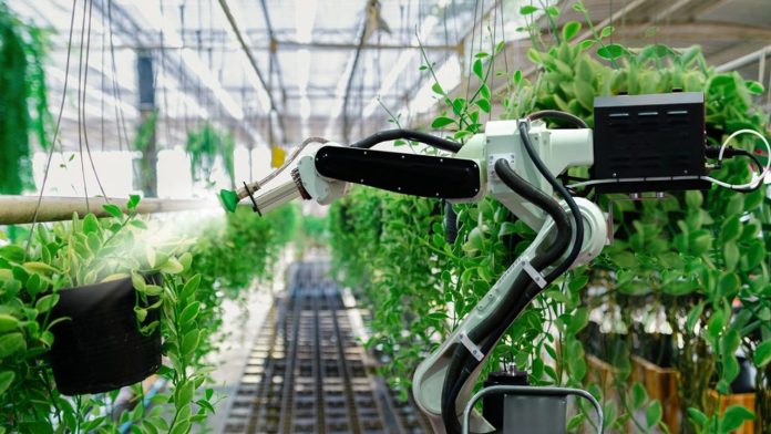 Digital and environment: highly sought-after cross-skills Si le numérique est l'un des importants émetteurs de CO2, son important potentiel pour décarboner l'ensemble des activités humaines est plus rarement évoqué.