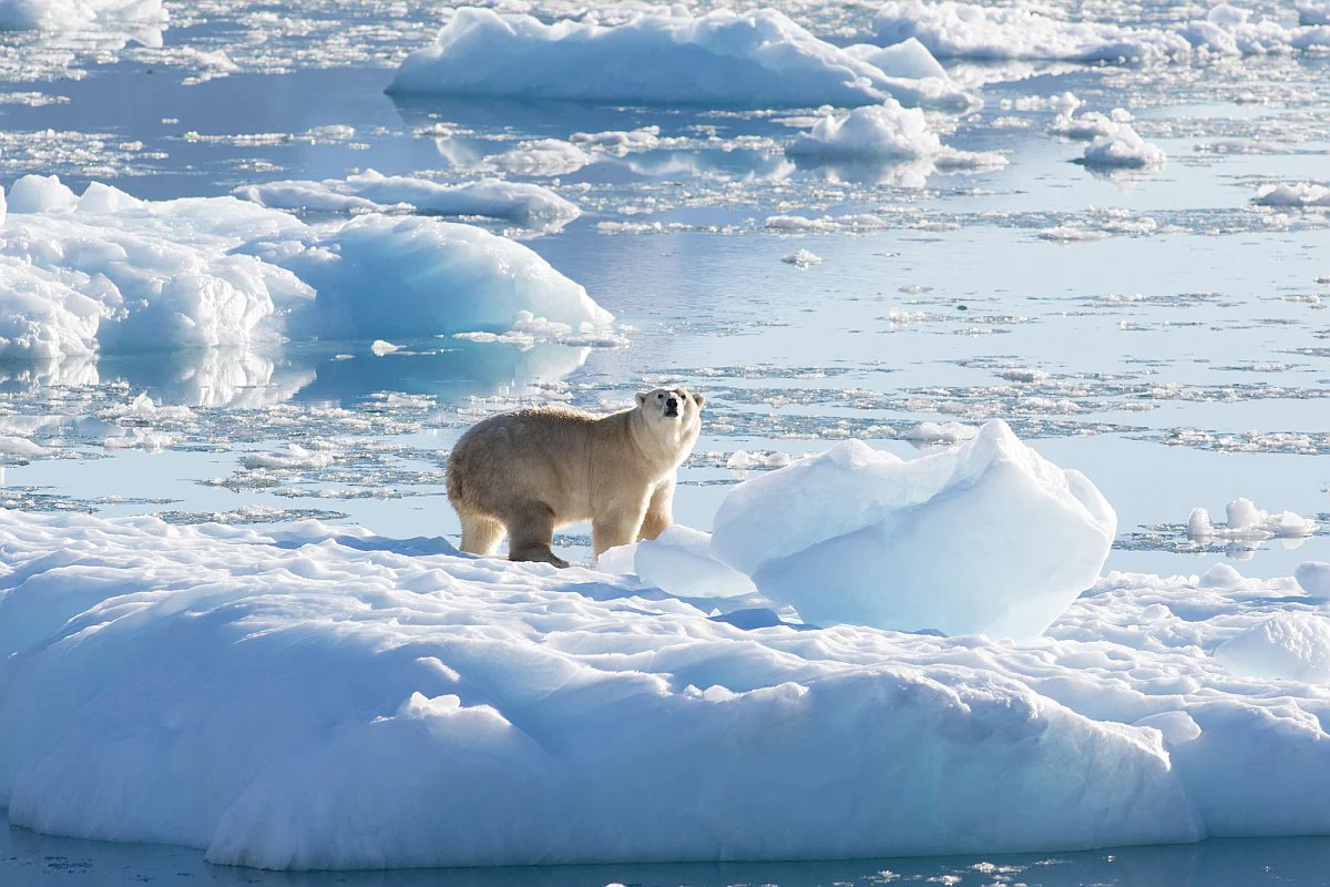 Greenland ice sheet shrinking faster than forecast, committed to irreversible Greenland Ice Sheet Depleting Faster Than Forecast, Irreversibly Committed to Sea Level Rise