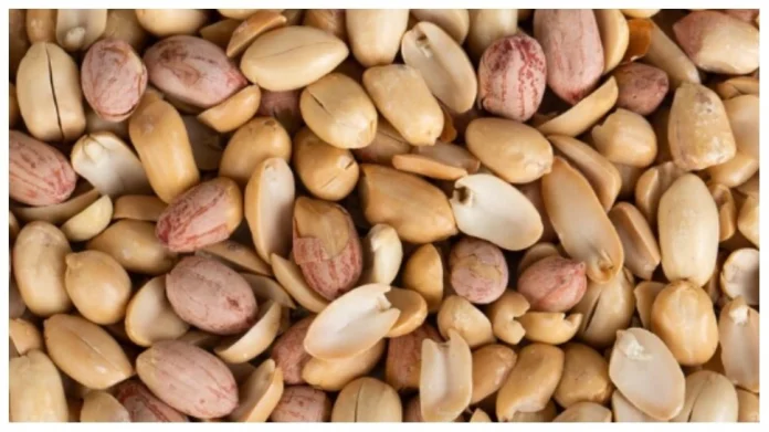 Peanut For Health: शेंगदाणे खाल्ल्याने शरीरावर काय परिणाम होतो? जाणून घ्या 