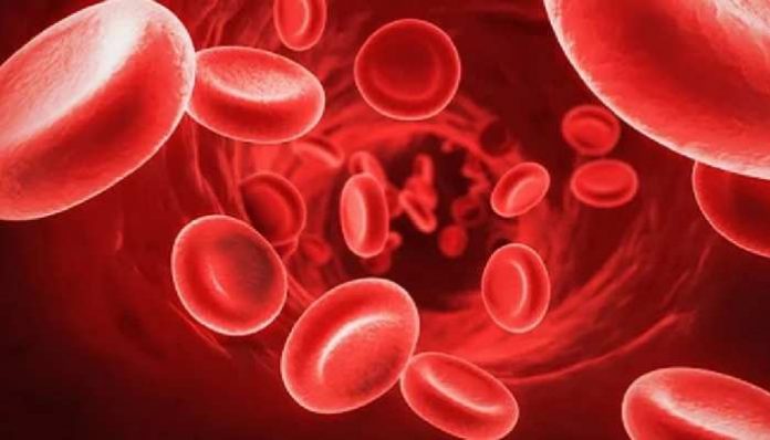 Low Hemoglobin: These things rapidly increase hemoglobin in the blood Low Hemoglobin: झपाट्याने रक्तातील हिमोग्लोबिन वाढवतात या गोष्टी
