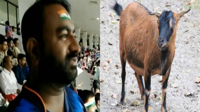  IND vs AUS : क्रिकेट मॅच बघण्यासाठी पठ्ठ्यांन चक्क विकल्या बकऱ्या; म्हणाला, "असा हिरमोड कधीच झाला नाही"