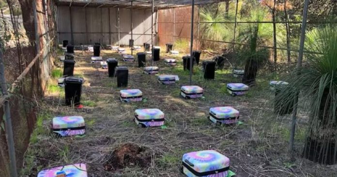  Now the secrets of every big murder mystery will be revealed!  The bodies were packed in 70 suitcases;  scientists are doing research

