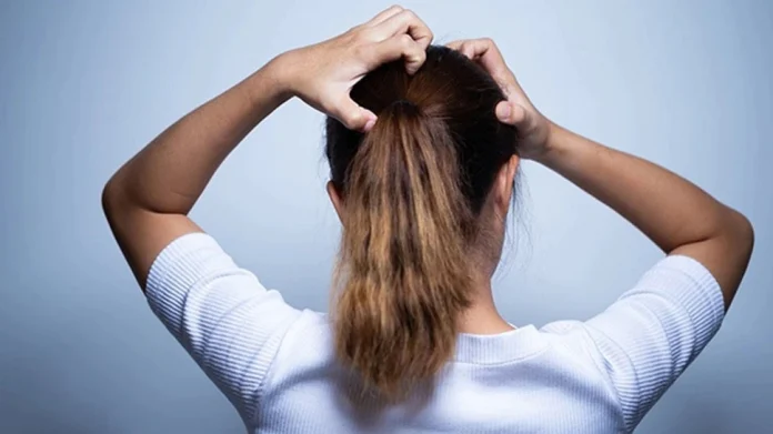 These are the tips to reduce the problem of lice केसांतील उवा काही केल्या जात नाहीयेत? करा 'हे' घरगुती उपाय