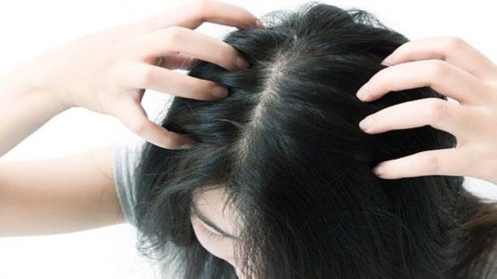 Hair Care Tips: डोक्याला खाज सुटल्याने त्रास होतो? हे करा घरगुती उपाय 