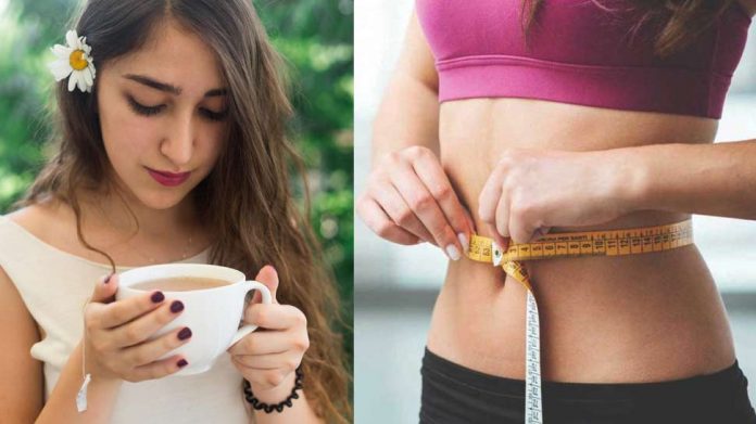 Weight Loss Tips: Do You Want To Lose Weight In Weight Loss Tips: काही दिवसांत वजन कमी करायचे आहे का?, आजपासून या मसाल्याची प्या चहा