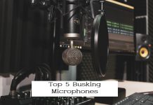 In 2022, the top 5 busking microphones