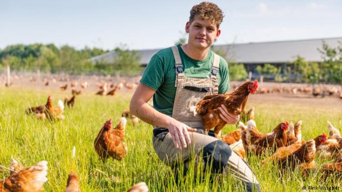 Alrik Visscher kneels in the grass surrounded by chickens