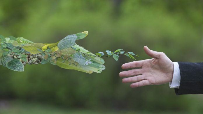 Sobriety and business: 10 expressions to discuss the subject in La sobriété impose d'adopter des habitudes plus frugales.