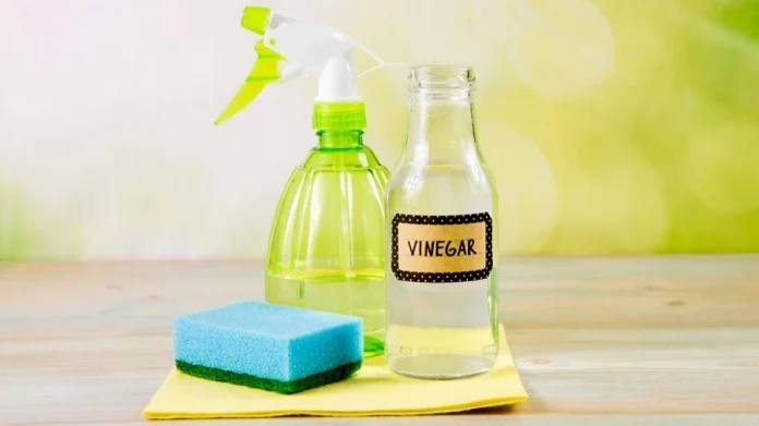 Vinegar Hacks : केवळ स्वयंपाक नव्हे तर ‘यासाठी' वापरता येते व्हिनेगर, जाणून घ्या सविस्तर